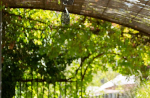 Lalbenque House | Grand Gîte de Charme dans le Lot - Jacuzzi, Piscine & Truffles - 14 pers.