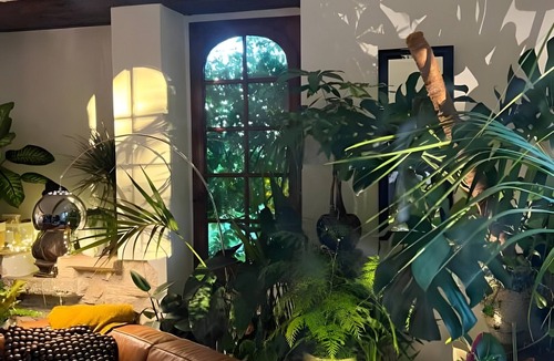 Saint-Barthelemy Bed & Breakfast | Guest Room “La Felicita - Piano” with Shared Terrace & Garden, Wi-Fi