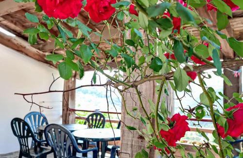 Saint-Andre-de-Majencoules House | Holiday Home in Saint-Andre-De-Majencoules mit terasse- Garl by Interhome