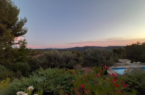 Piegon House | home drome