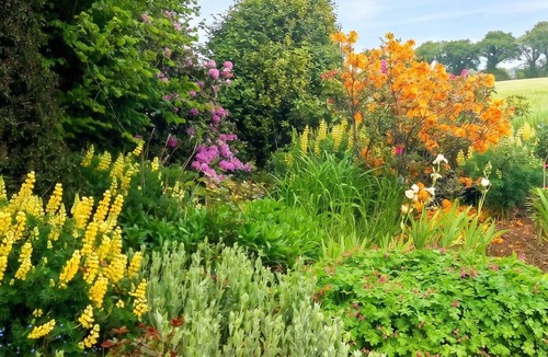Laz House | Homerez - Charming House with Garden in Laz