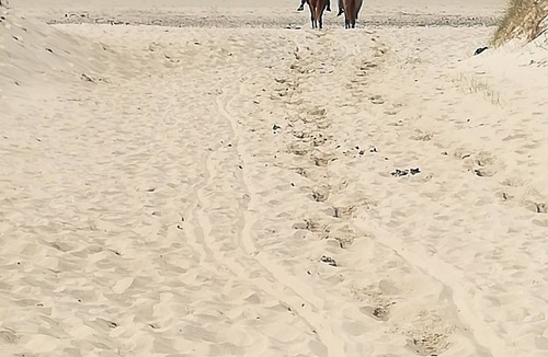 Surville House | House between sea and dunes. House 2 bedrooms, all comfort, ideal for lovers.