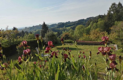 Saint-Haon-le-Vieux House | House Côte Roannaise 9 persons - 4 bedrooms Pets allowed !