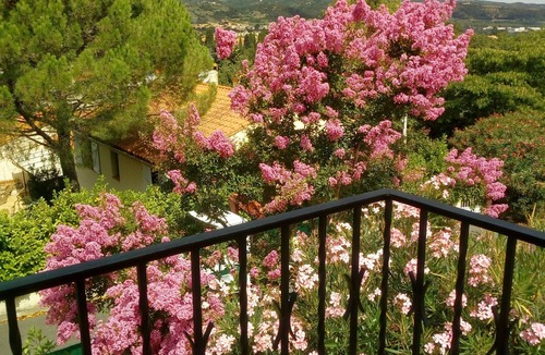 Ceret House | House with views, haven of peace, 2 steps from the center of Céret. 4 to 6Pers
