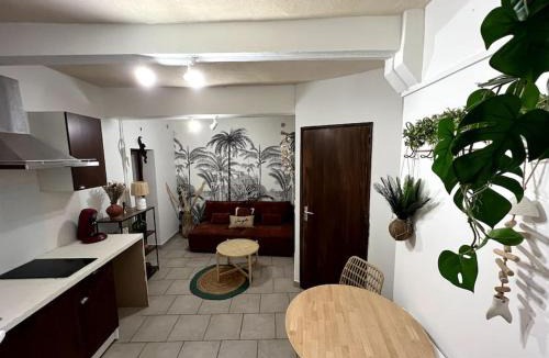Clemenceau Apartment | Hyper centre - proche Castillet