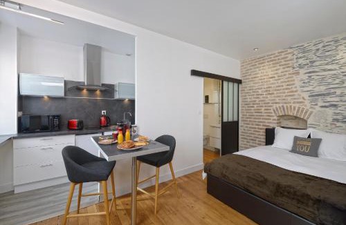 Downtown Angers Apartment | Hyper Centre Rue Valdemaine