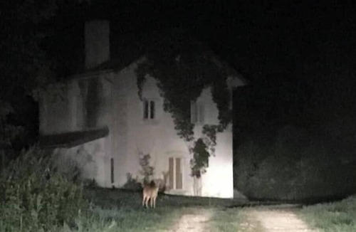 Bergeres-sous-Montmirail House | Isolated house nature parties allowed 24/24