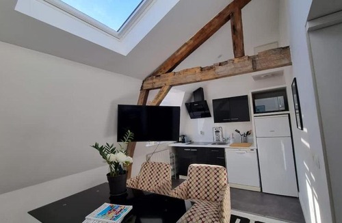 Saint-Maurice Pellevoisin Apartment | Jasmine-Proche gare Grd Palais Zenith&Centre