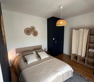 Issoire Apartment | JFK13 Suite Cocoon Hypercentre Fibre et vue Sancy
