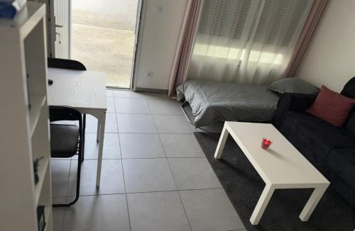 Porte Des Alpes - Mi Plaine - Manissieux Apartment | Jolie perle