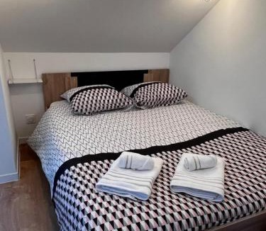 Vieux Vichy Apartment | Junon - Appart tout équipé, rénové