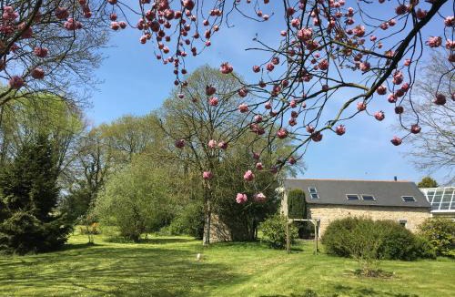 Le Vieux-Bourg Bed & Breakfast | Kericouette et Délices