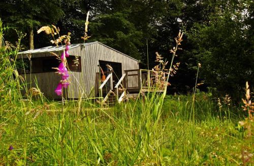 Saint-Sever-Calvados Cabin | L'étape en forêt