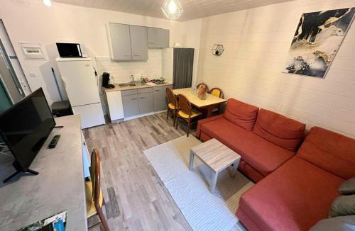Saint-Nectaire Apartment | L'Hermitage - piscine et mini golf