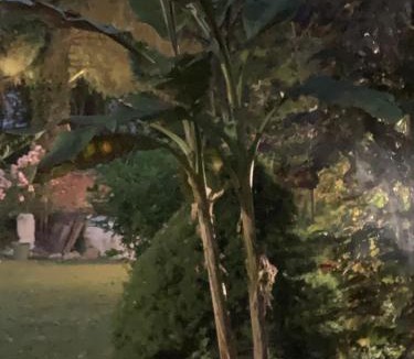 Agnetz Bed & Breakfast | L Orée du Bois