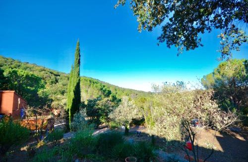 Camelas House | La Briardière