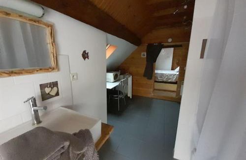Vatan Apartment | La cabane: Chambre double, salle de bain privée
