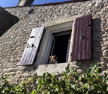 Marsais Bed & Breakfast | La Cachette de Beaumont