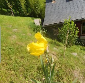 Bonac-Irazein House | La Cardabelle - Pyrenee Ariegeoise