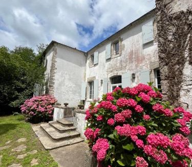 Orthevielle Bed & Breakfast | LA CAVERIE DE PEYROUX A ORTHEVIELLE (40300)