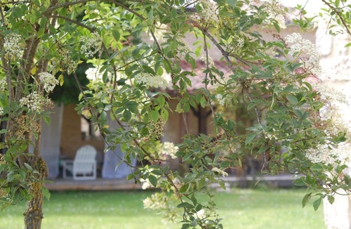 Laussou House | "La feuillade aux oiseaux" Charme et Nature