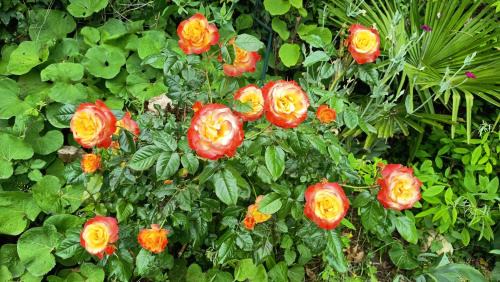 Thiviers Bed & Breakfast | La Fontaine du Mas