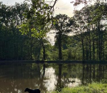 Sennely Bed & Breakfast | La Grange aux Etangs - Les Chambres d'hôtes
