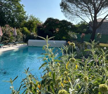 Saint-Amans-du-Pech House | La Grange de la Maison des chats - Loft en Quercy