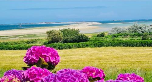 Pleubian House | La Maison Bleue - 300m de la mer