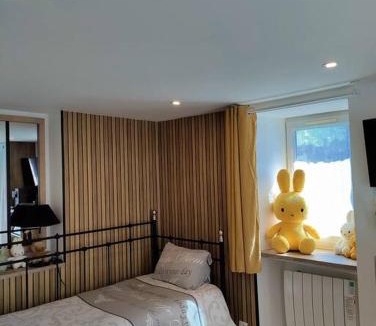 Ruille-le-Gravelais Apartment | La maison de Miffy