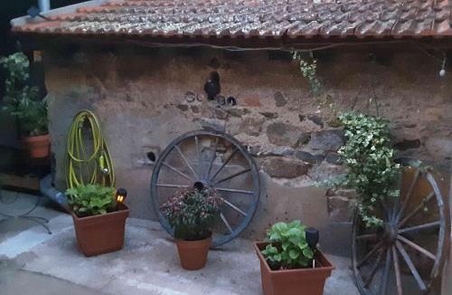 Saint-Jodard Bed & Breakfast | La maison des Roses