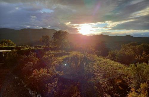 Montauriol Bed & Breakfast | La Pantoufle Verte