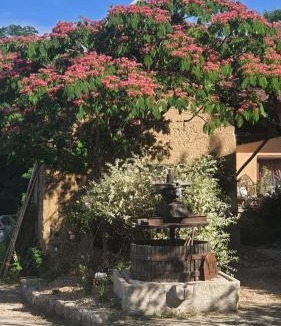 Saint-Genix-sur-Guiers House | La Parenthèse - Gîte de la Paruline