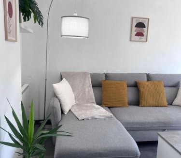 Saint-Egreve Apartment | La Pinéa 40 m2 T2 climatisation, tram E et parking