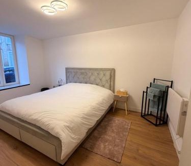 Gondrecourt-le-Chateau Apartment | la Résidence Jacquinot