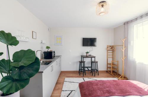 La Ferte-Gaucher Apartment | La simplicité, climatisé avec entrée autonome