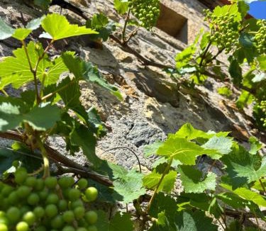 Saint-Sulpice-d'Excideuil Bed & Breakfast | Le Charme du Perigord - chambre & table d'hotes