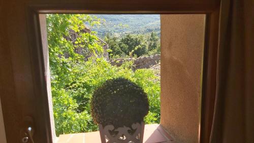 Camps-sur-l'Agly House | Le Chateau