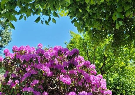 Soulages Bed & Breakfast | Le Clos de la Ronzière