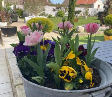 Clery-Saint-Andre Bed & Breakfast | Le Clos du Q’hâtre