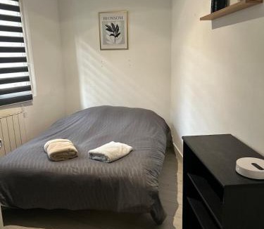 Cote Ouest Ormeaux Apartment | Le Cocon Citadin -2 ch Proximité gare