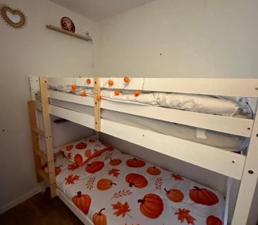 Marckolsheim Apartment | Le cocon de Marckolsheim proche Europapark