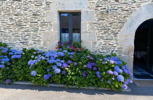 Guillac House | Le gîte d'Arthur
