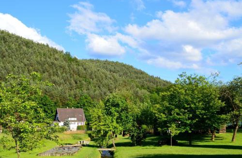 Sturzelbronn House | Le Gîte de l'Ecureuil