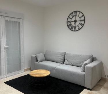 Saint-Pere-sur-Loire Apartment | Le Gîte du Château