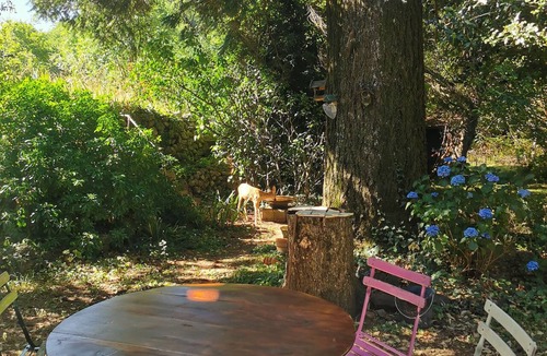 Thueyts Ski Chalet | Le Grand Pin – a boreal-style house/cabin in Ardèche