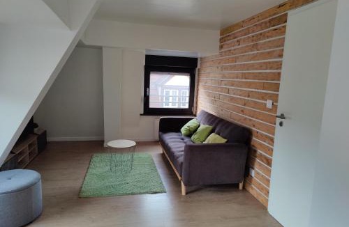 Sarreguemines Apartment | Le Green Duplex moderne en hypercentre