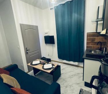 Bourges Apartment | Le green touch, studio centre ville historique