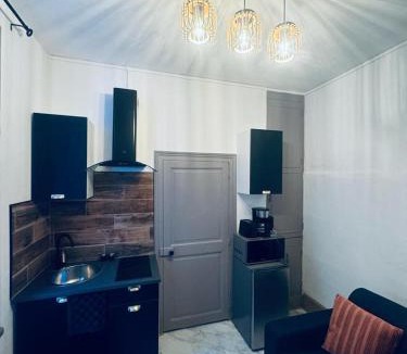 Bourges Apartment | Le green touch, studio centre ville historique