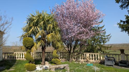 Chivres House | Le Jardin Suspendu
